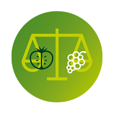 Les fruits et l&eacute;gumes